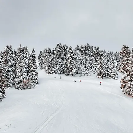 Trendlife 4* Uludag (Bursa)